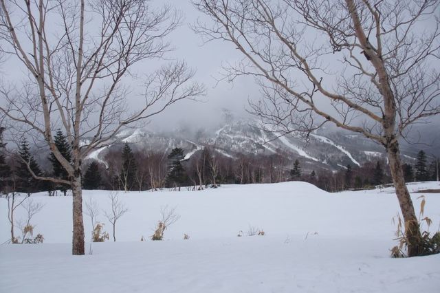 雪山: キヨヱの山日記