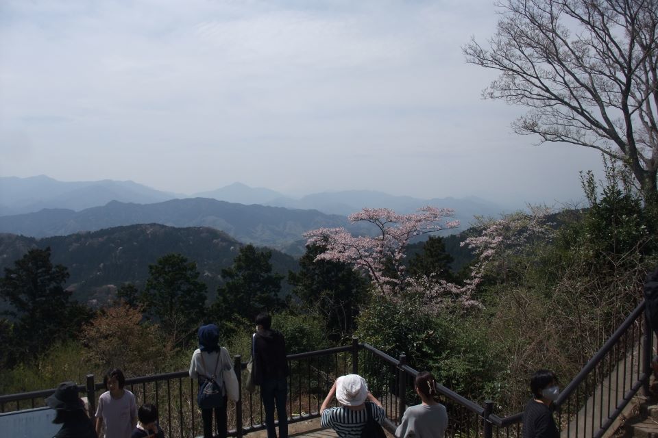 桜の高尾山: キヨヱの山日記